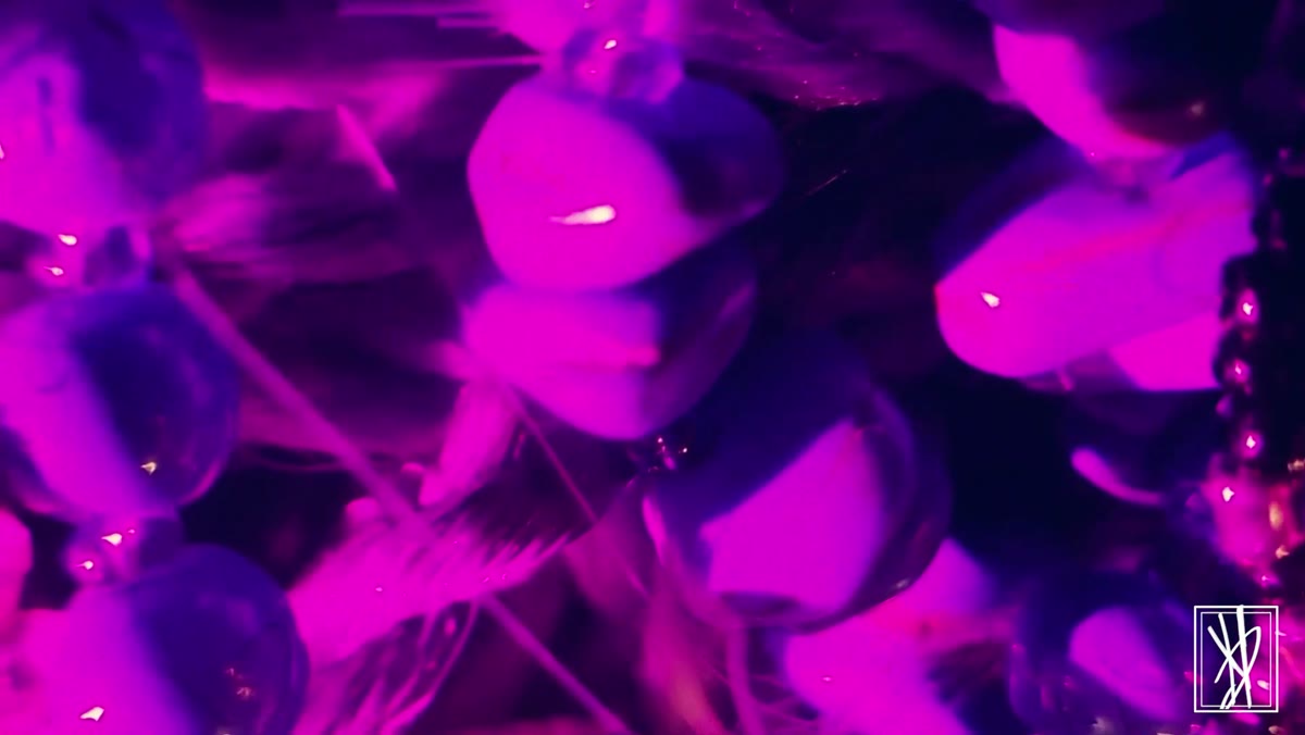 Jewels — still 3