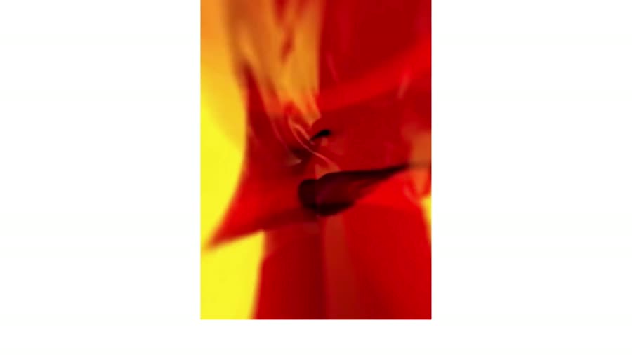 White Dissolution — still 5