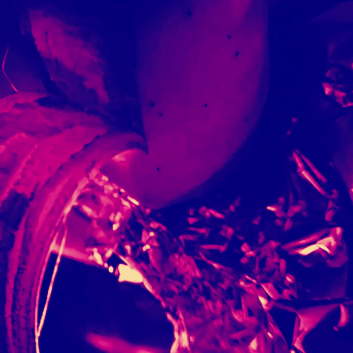 Banana Nightmare — still 2