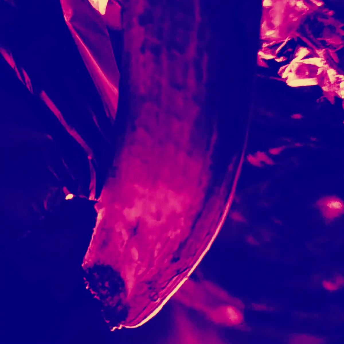 Banana Nightmare — still 3