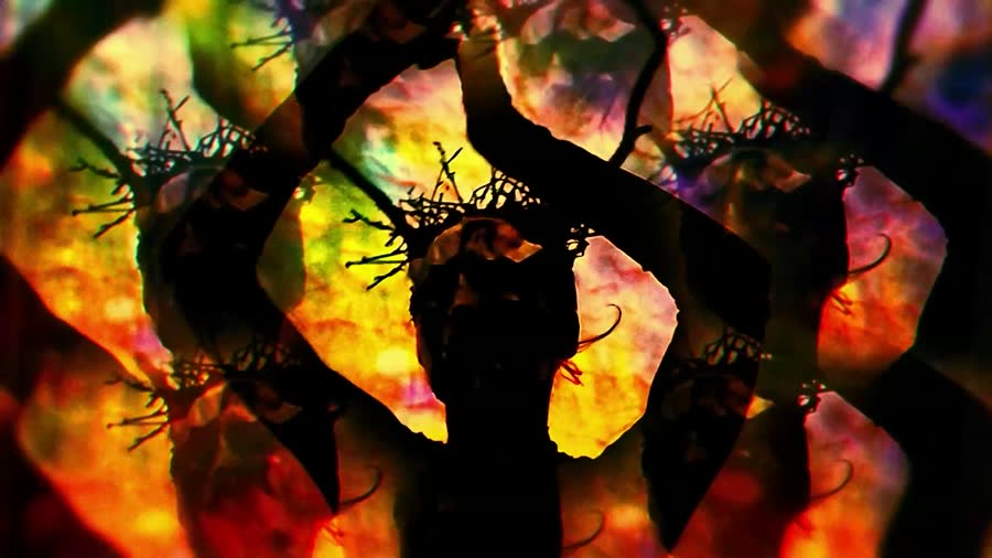 Mistress of the Forest — still 3