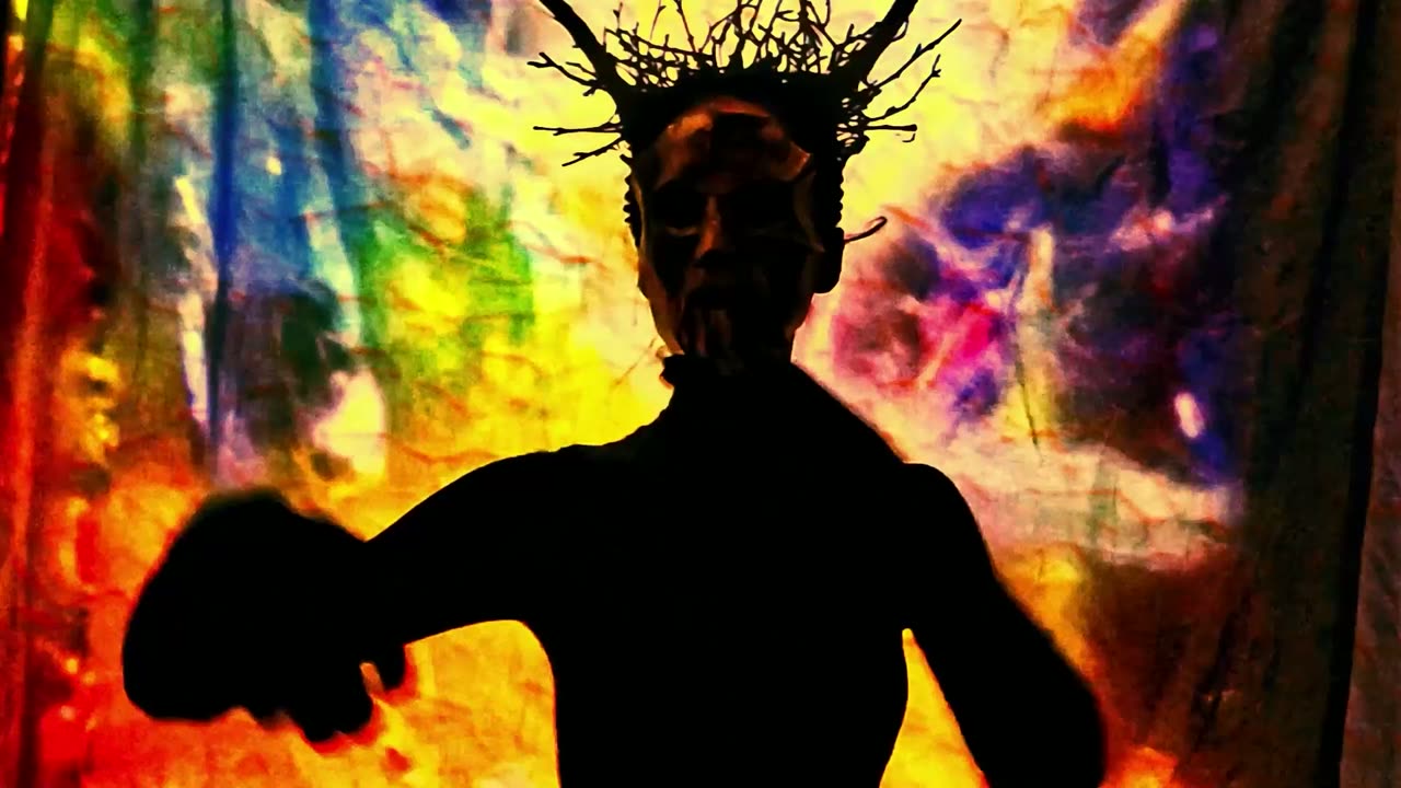 Primal Elements — the wisdom of the wild
