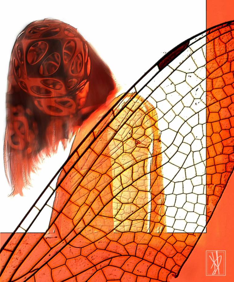 Mimicry