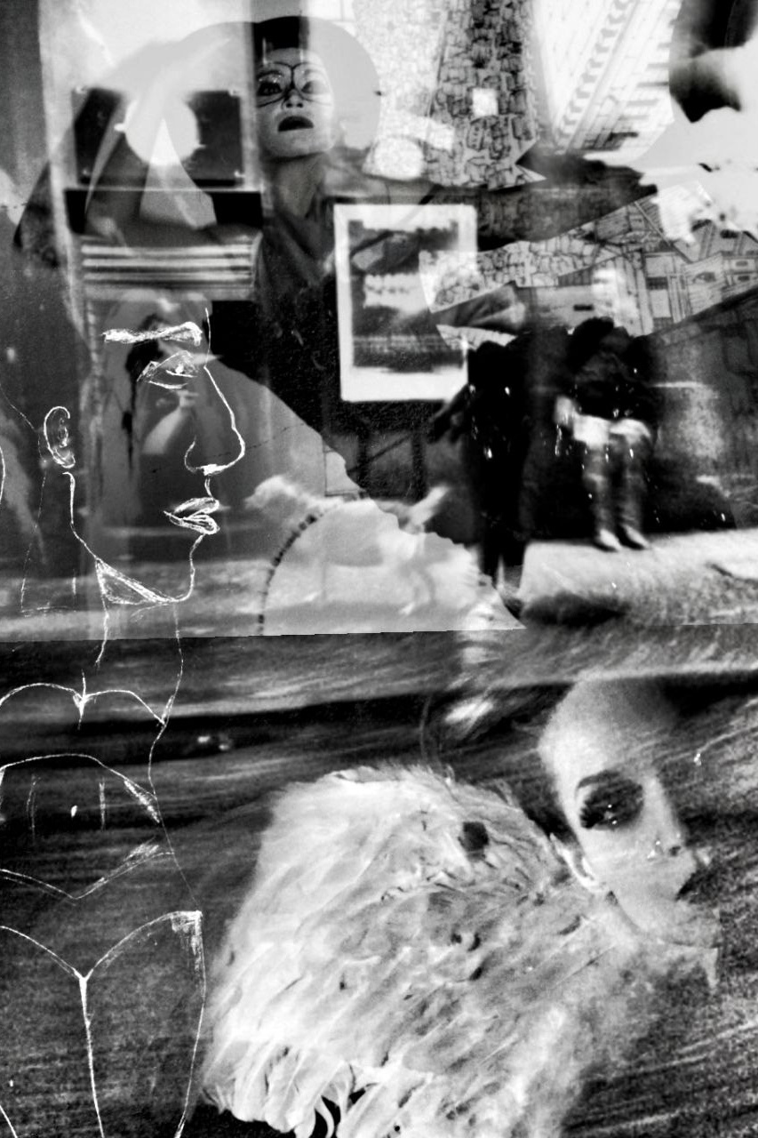III. THE WEB (The Sovereign State)