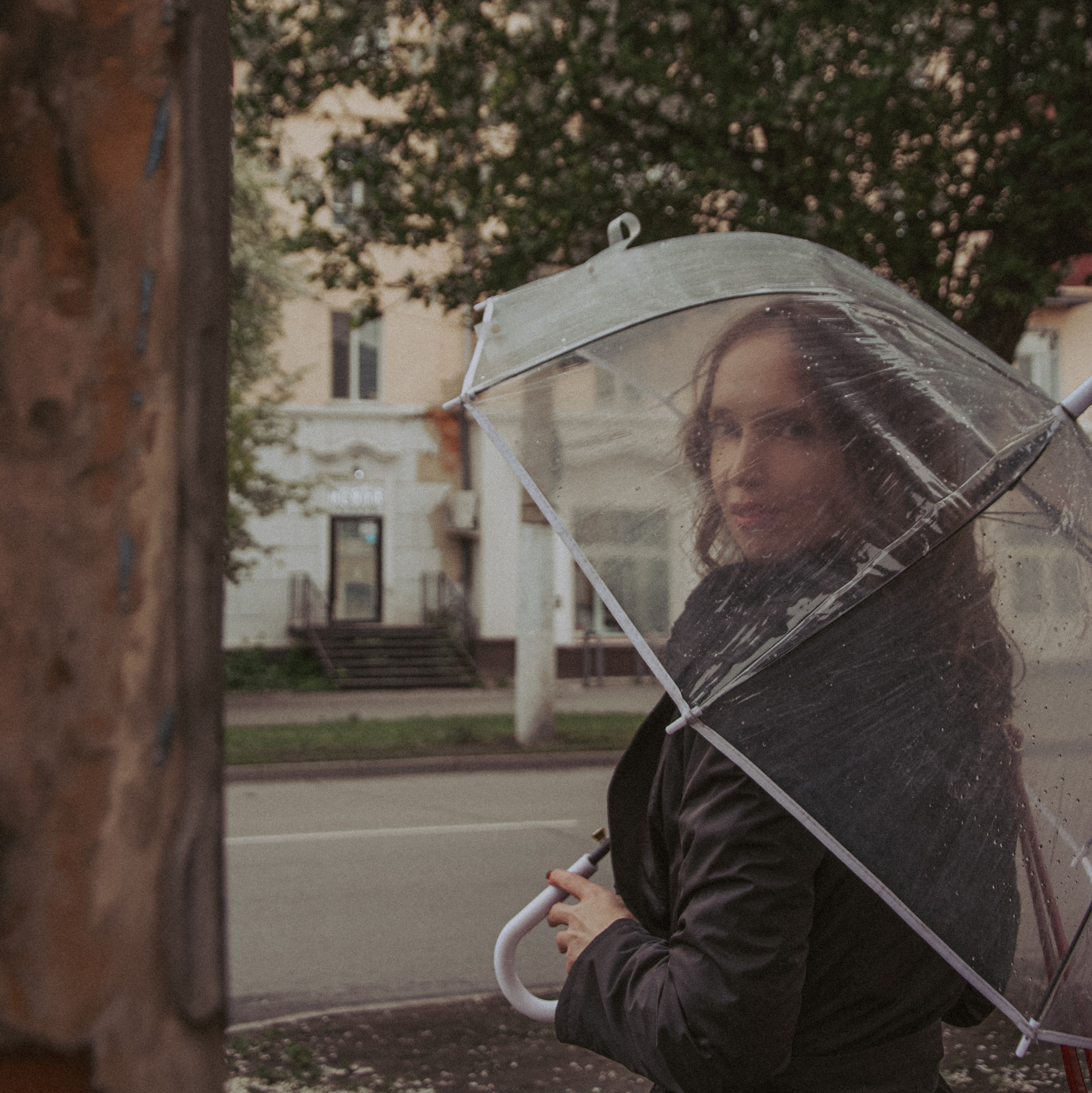 REFLECTIONS IN THE RAIN