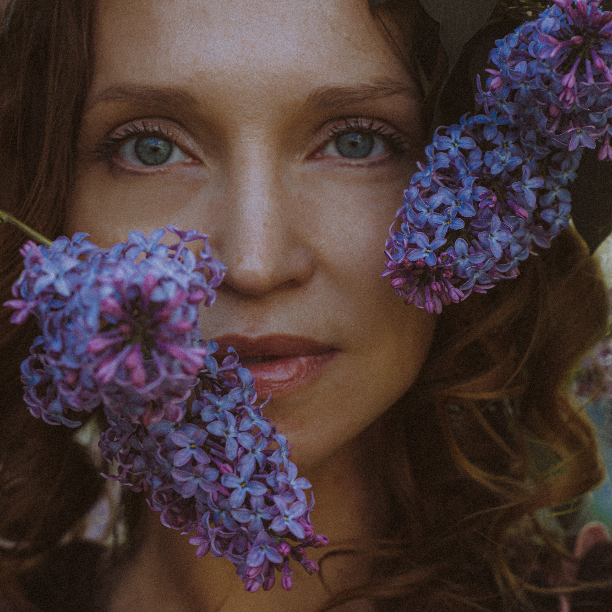 THE SOUL OF THE LILAC