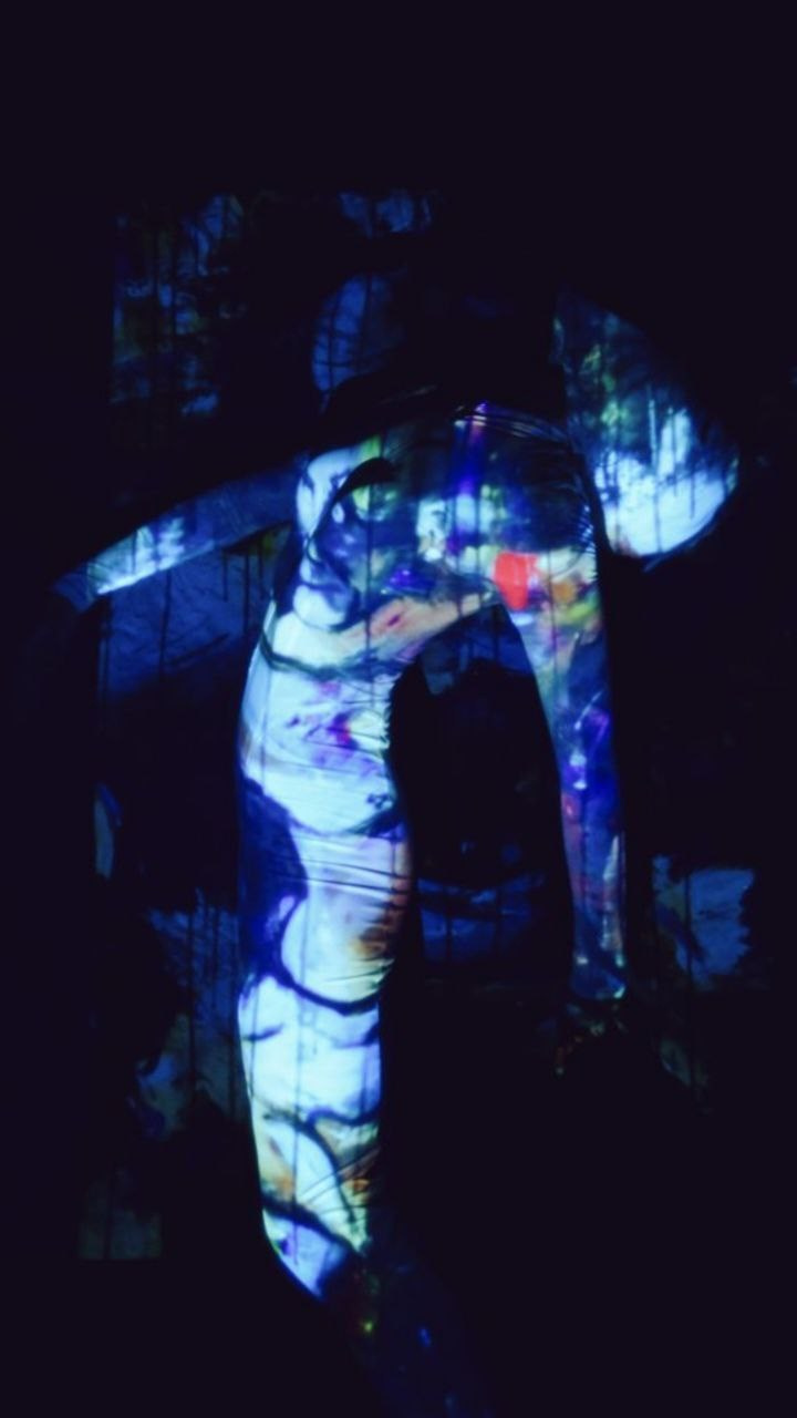 Symbiosis 1