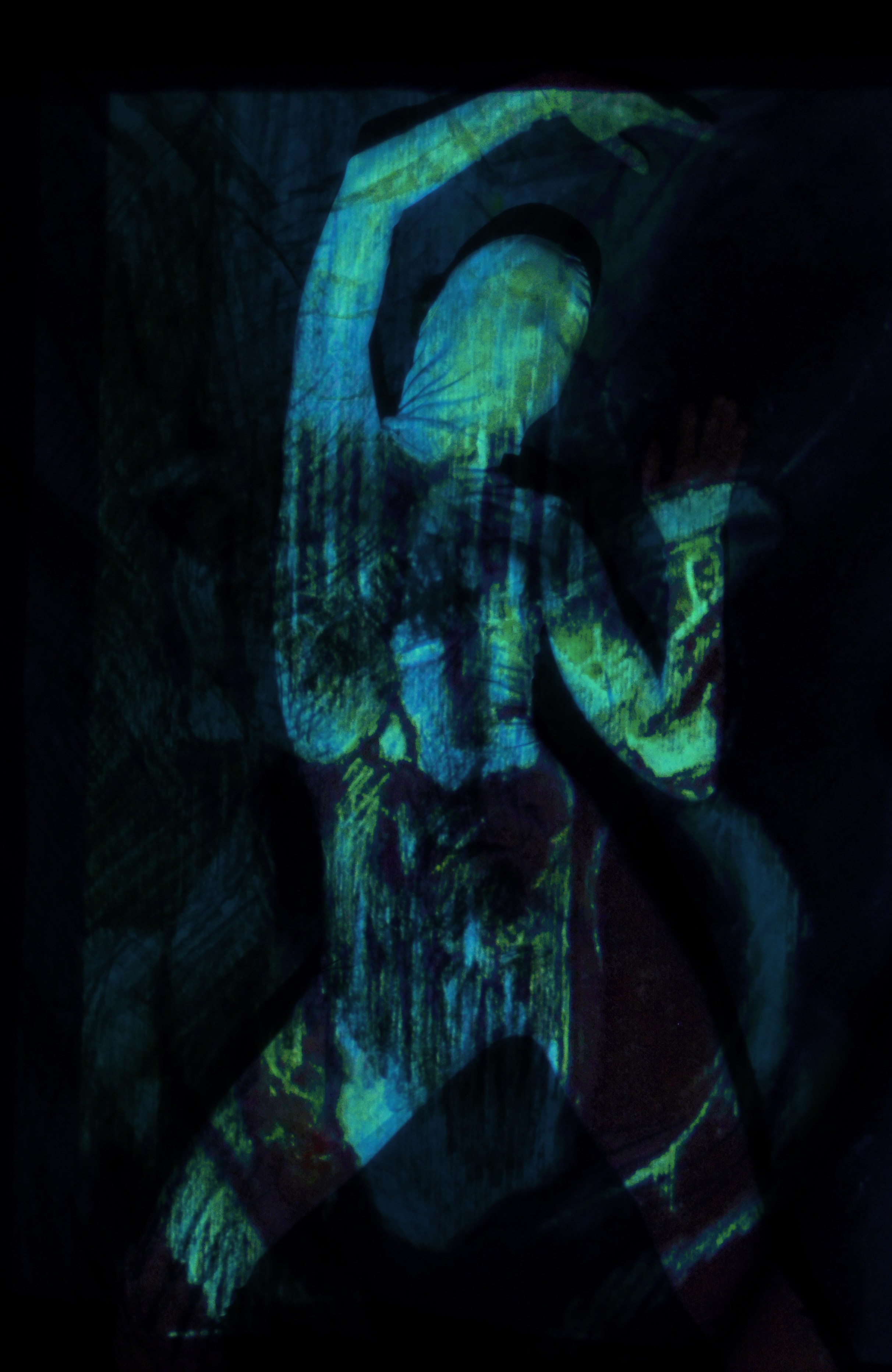 Symbiosis 5