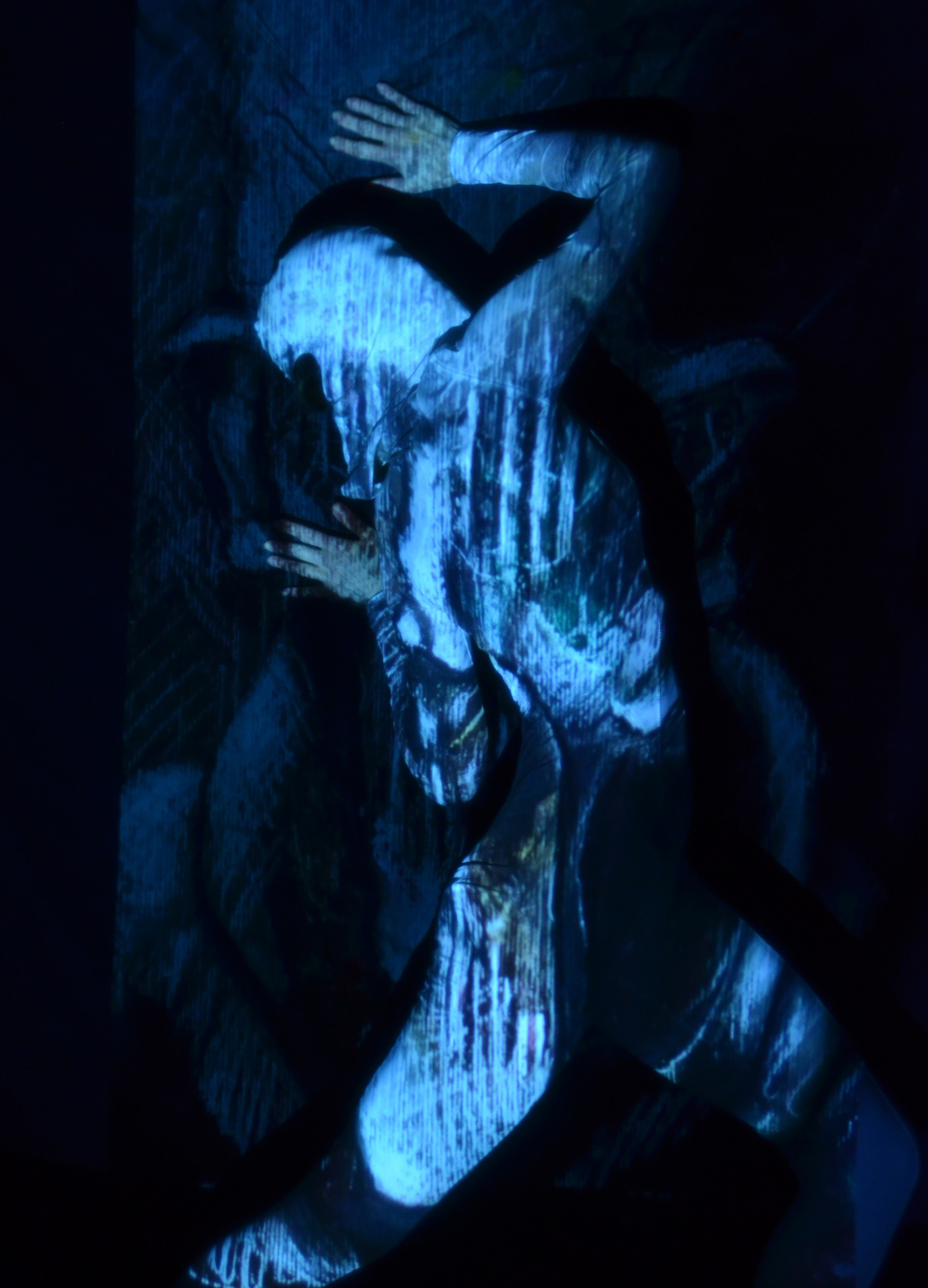 Symbiosis 12