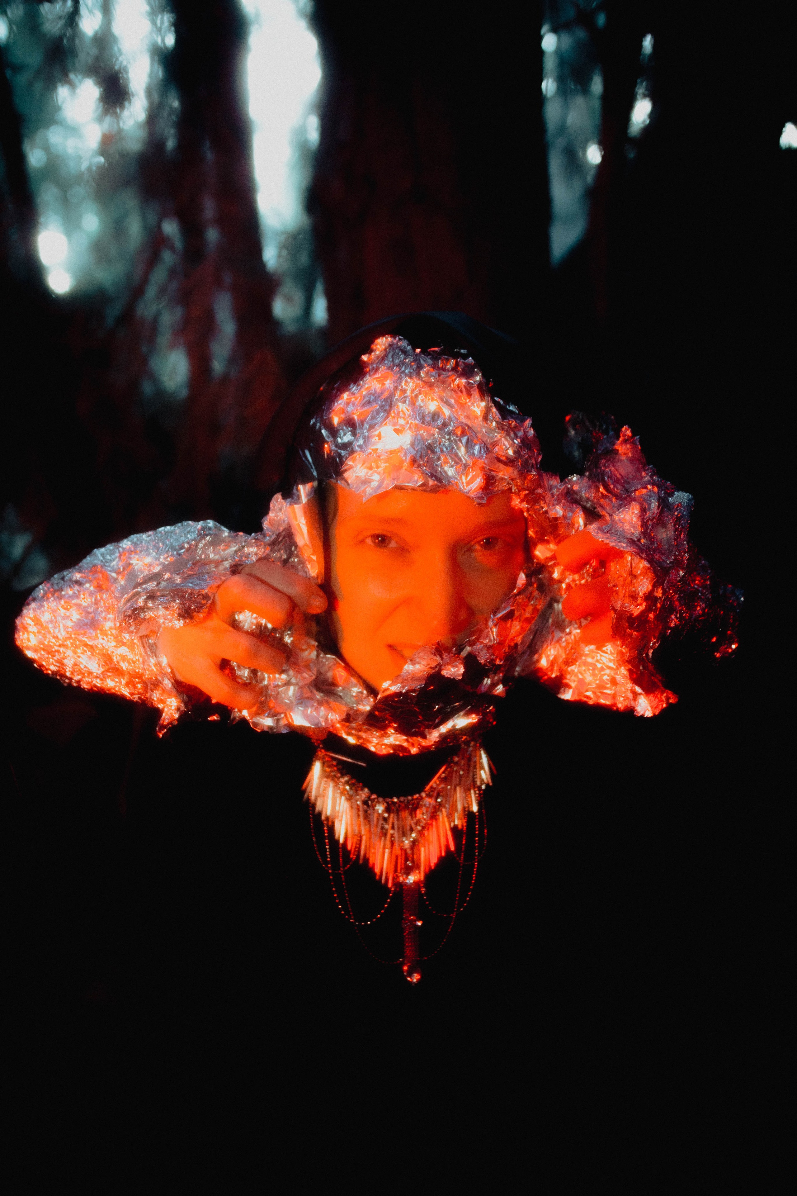 THE INORGANIC COCOON