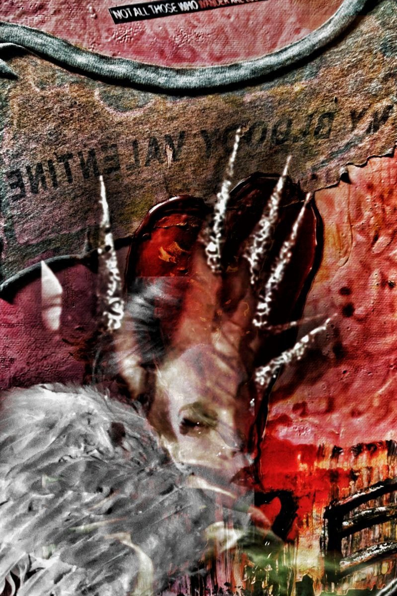 II. THE DETONATION